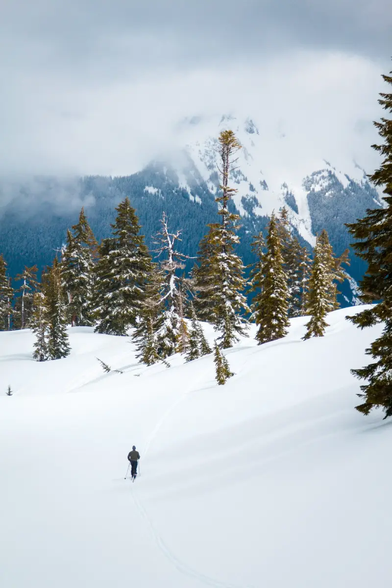 Kashmir luxury travel